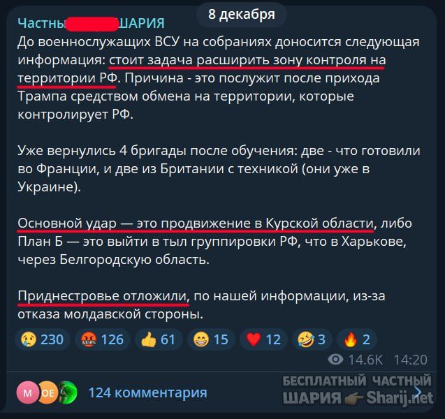 Труха Барселона — фото из публикации