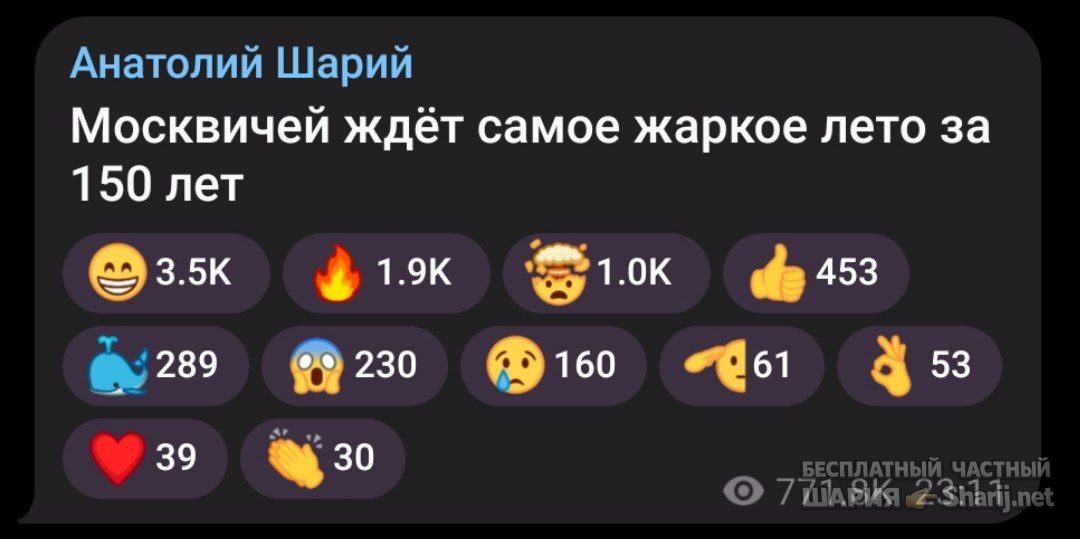 Труха Барселона — фото из публикации