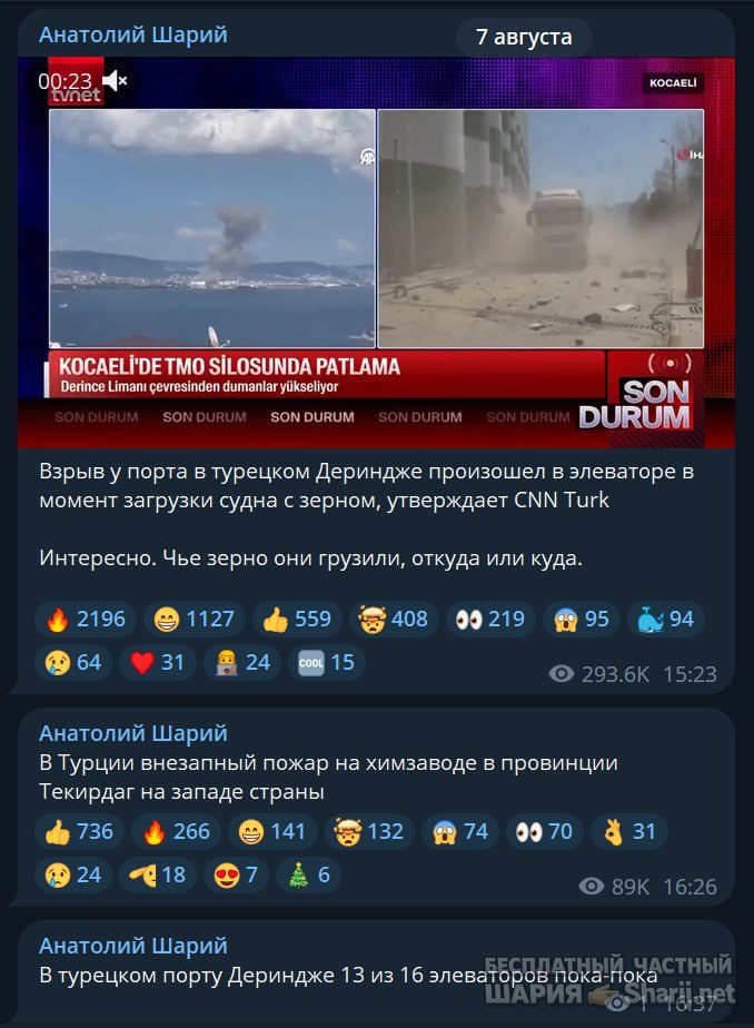 Труха Барселона — фото из публикации