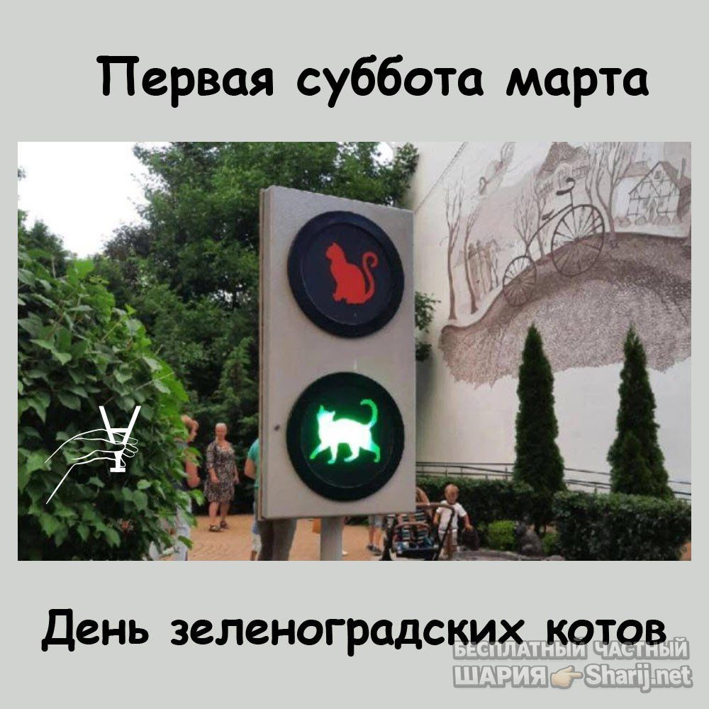 Труха Барселона — фото из публикации