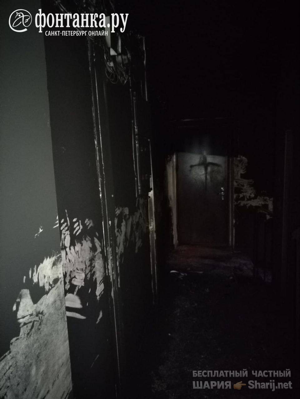 Труха Барселона — фото из публикации