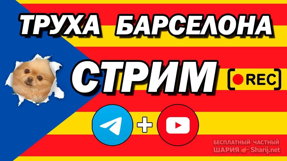 Труха Барселона — фото из публикации