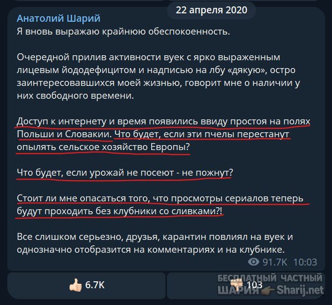 Труха Барселона — фото из публикации