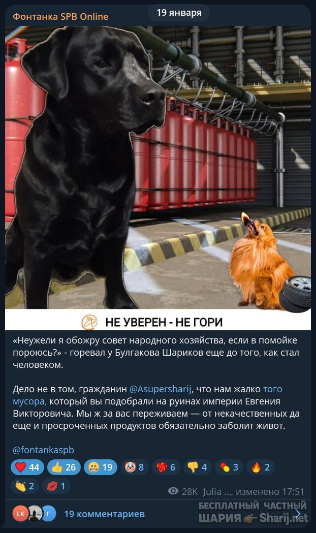 Труха Барселона — фото из публикации