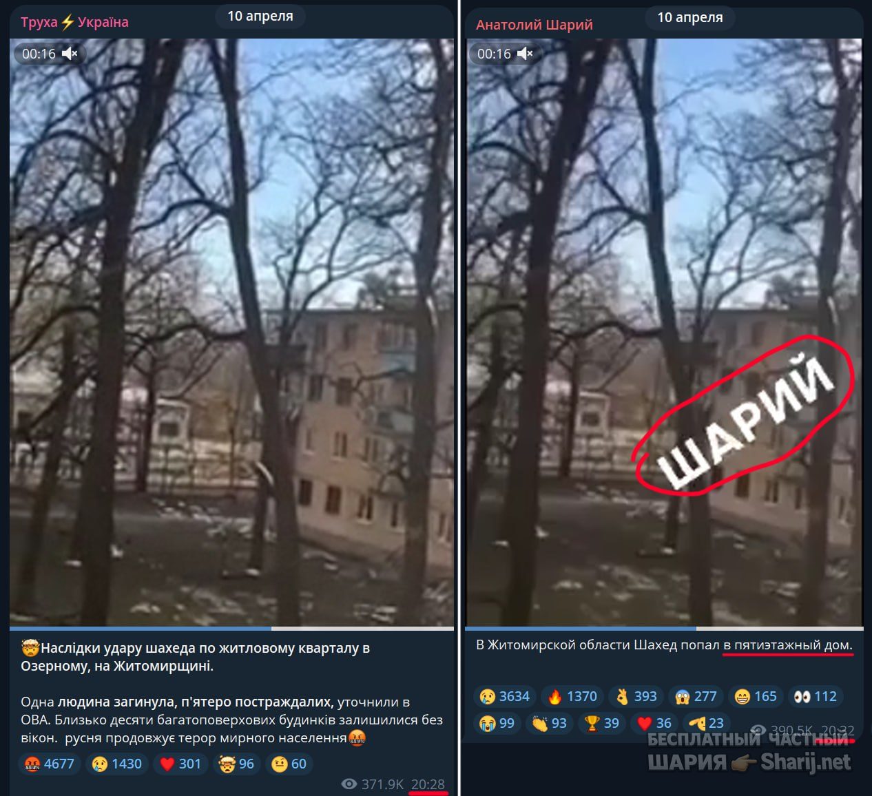 Труха Барселона — фото из публикации