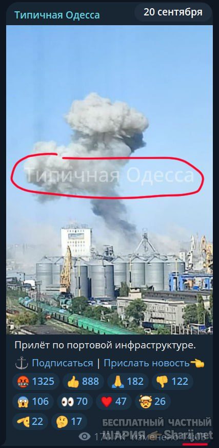 Труха Барселона — фото из публикации