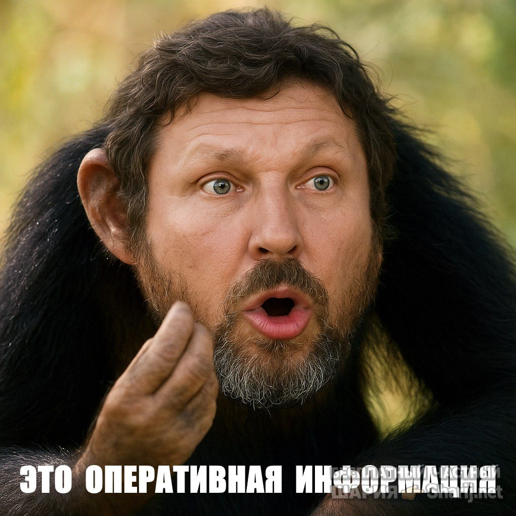 Труха Барселона — фото из публикации