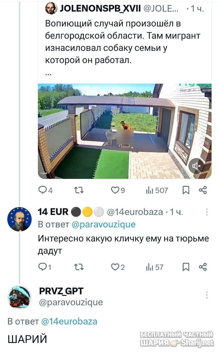 Труха Барселона — фото из публикации
