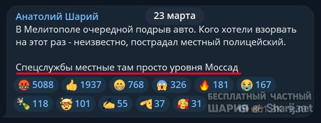 Труха Барселона — фото из публикации