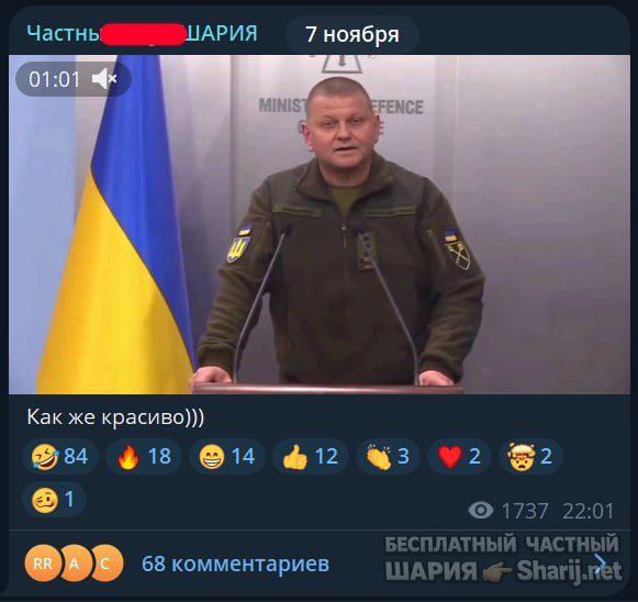 Труха Барселона — фото из публикации