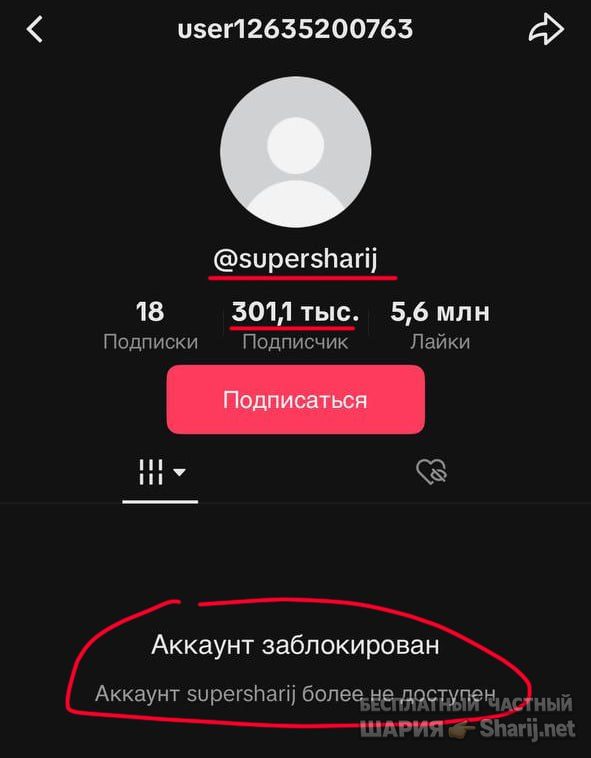 Труха Барселона — фото из публикации