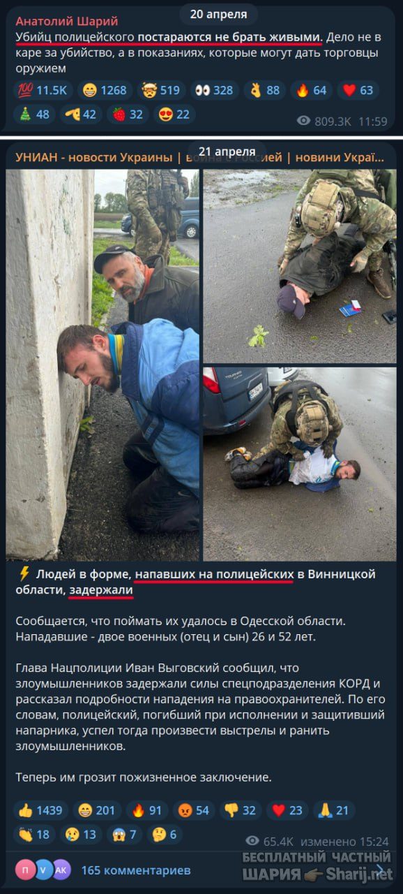 Труха Барселона — фото из публикации
