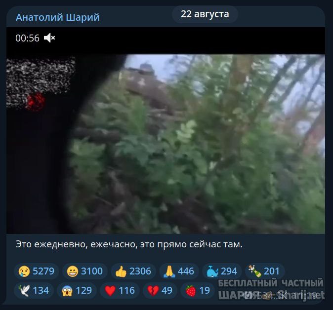 Труха Барселона — фото из публикации