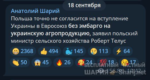 Труха Барселона — фото из публикации