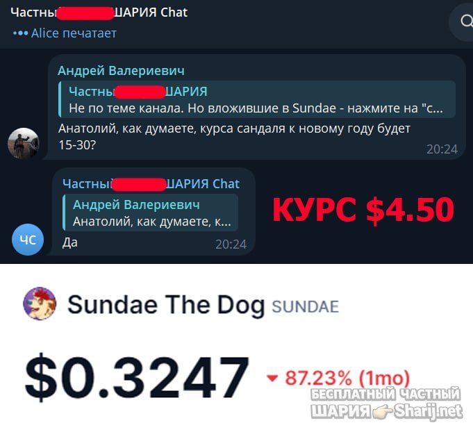 Труха Барселона — фото из публикации