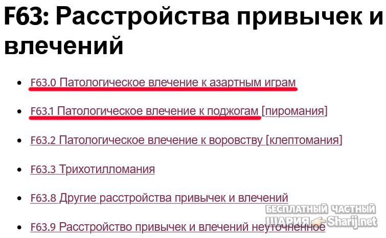 Труха Барселона — фото из публикации