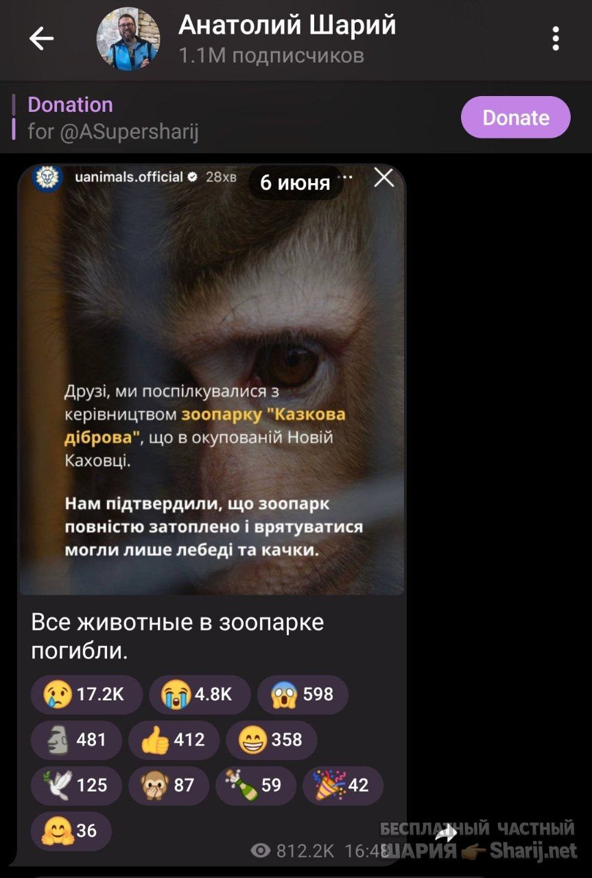 Труха Барселона — фото из публикации
