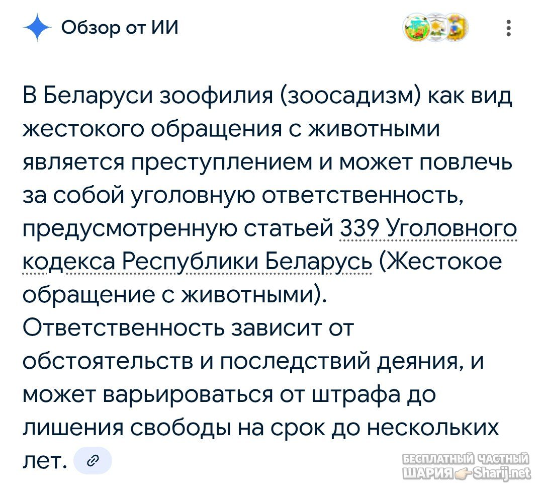 Труха Барселона — фото из публикации