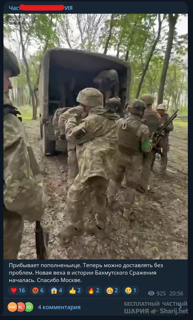 Труха Барселона — фото из публикации
