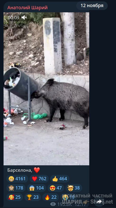 Труха Барселона — фото из публикации