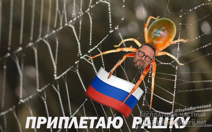 Труха Барселона — фото из публикации
