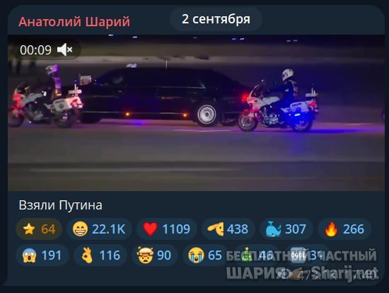 Труха Барселона — фото из публикации