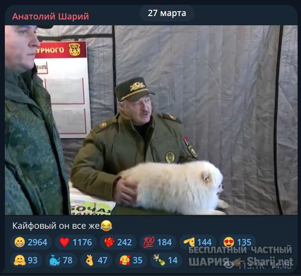 Труха Барселона — фото из публикации