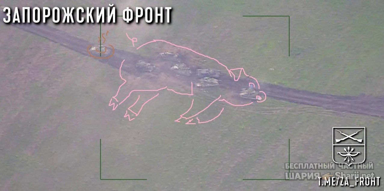 Труха Барселона — фото из публикации