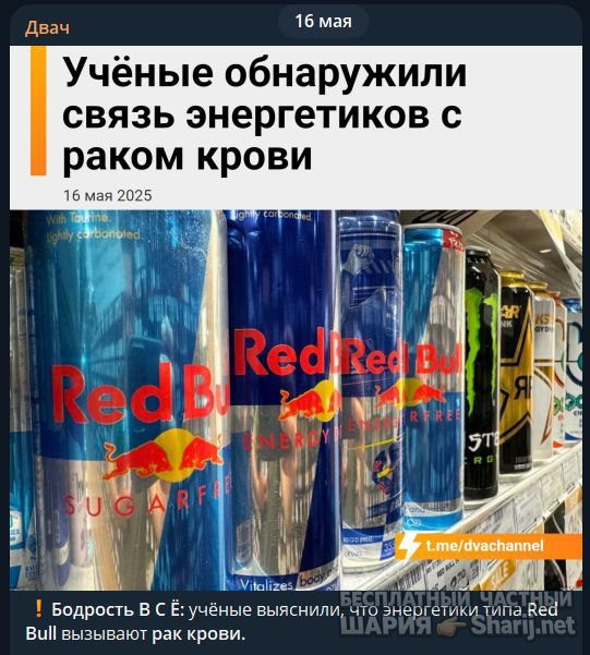 Труха Барселона — фото из публикации