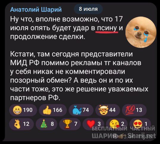 Труха Барселона — фото из публикации
