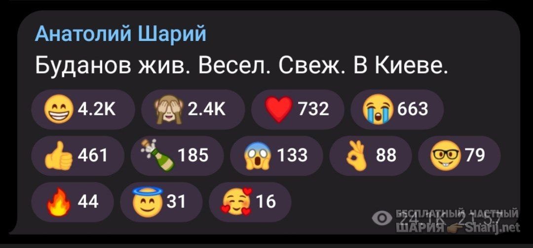 Труха Барселона — фото из публикации