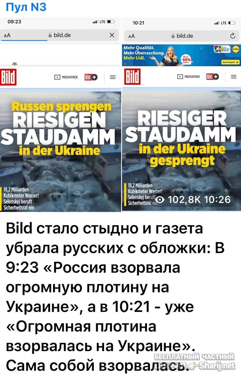 Труха Барселона — фото из публикации