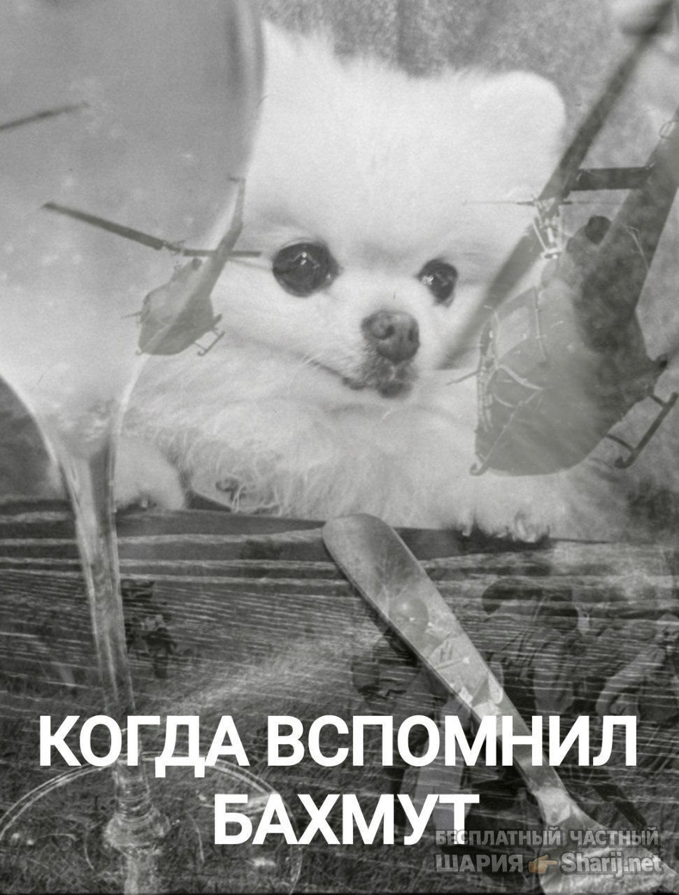 Труха Барселона — фото из публикации