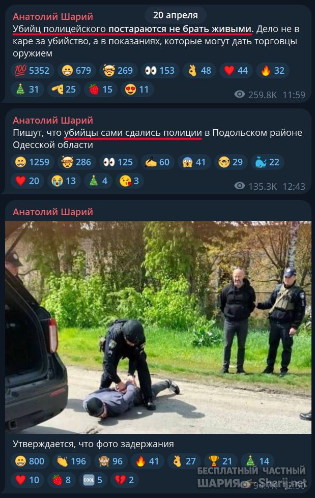 Труха Барселона — фото из публикации