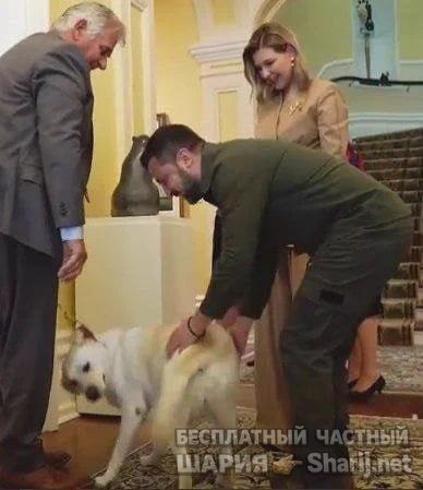 Труха Барселона — фото из публикации