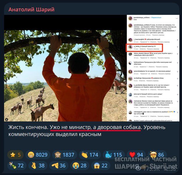 Труха Барселона — фото из публикации