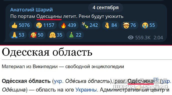 Труха Барселона — фото из публикации