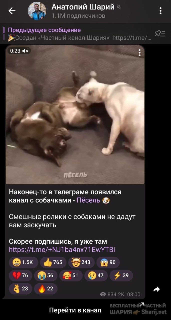 Труха Барселона — фото из публикации