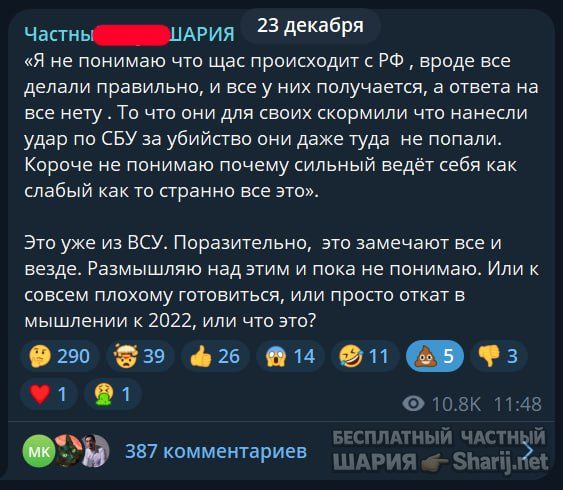 Труха Барселона — фото из публикации
