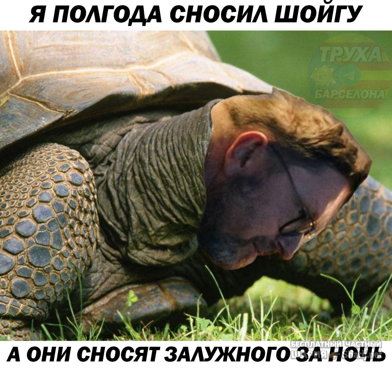 Труха Барселона — фото из публикации