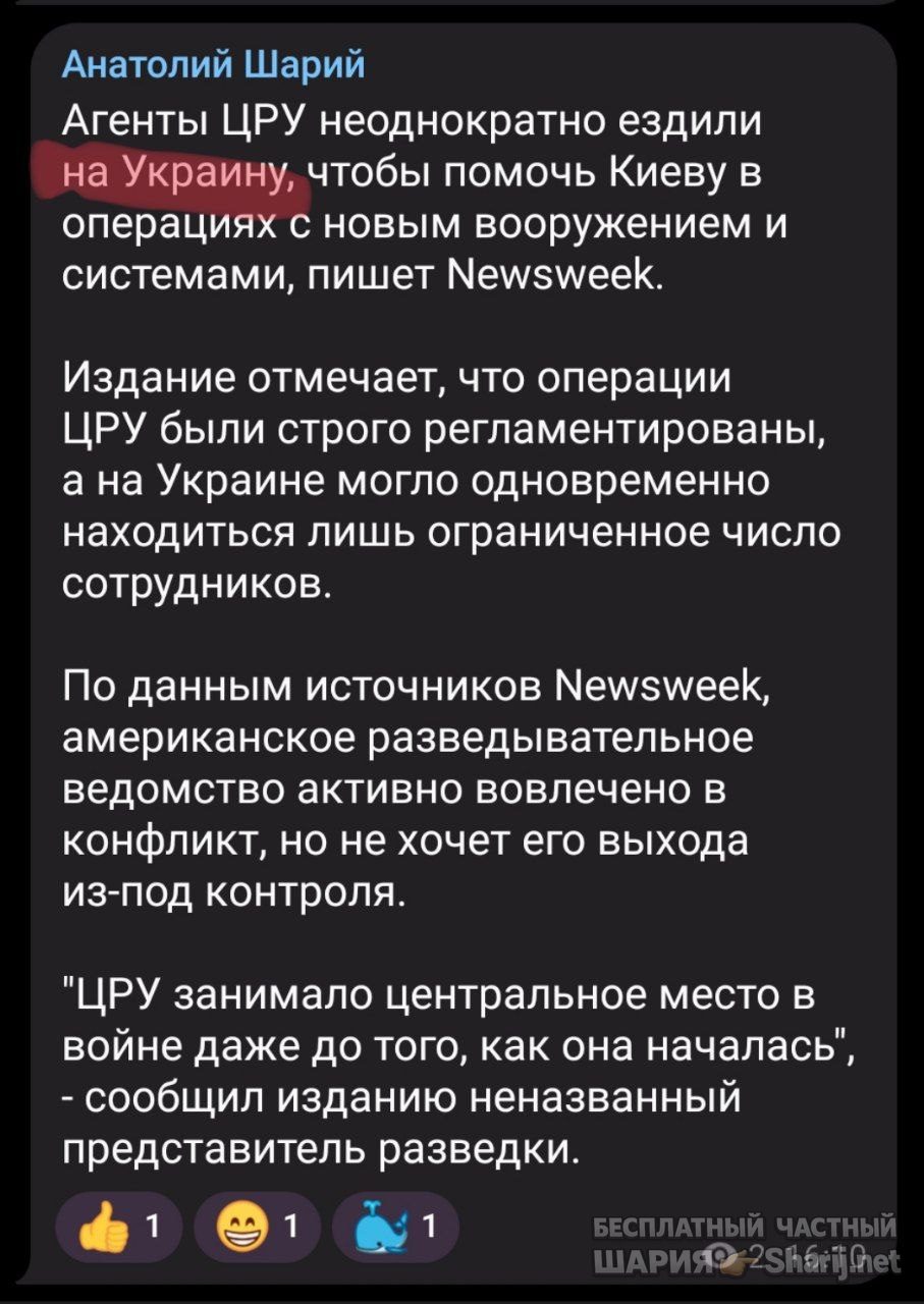 Труха Барселона — фото из публикации
