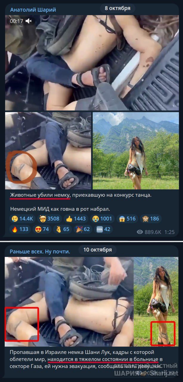 Труха Барселона — фото из публикации