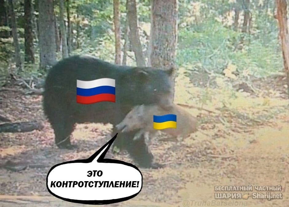 Труха Барселона — фото из публикации