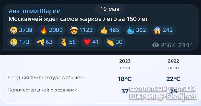 Труха Барселона — фото из публикации