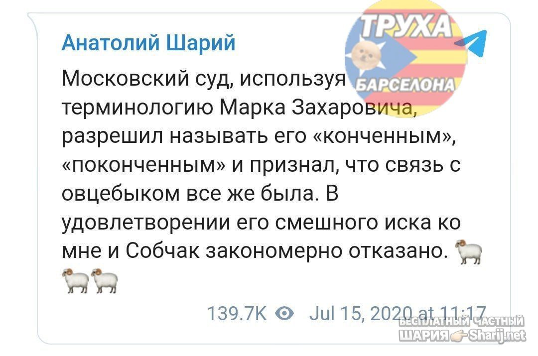 Труха Барселона — фото из публикации