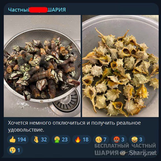 Труха Барселона — фото из публикации