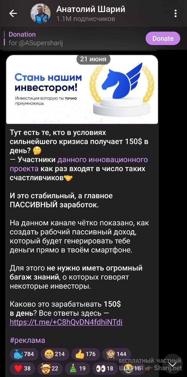 Труха Барселона — фото из публикации