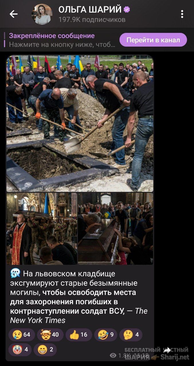 Труха Барселона — фото из публикации