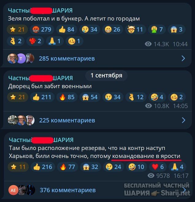Труха Барселона — фото из публикации
