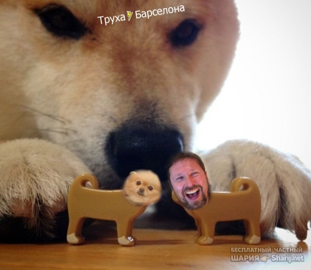 Труха Барселона — фото из публикации